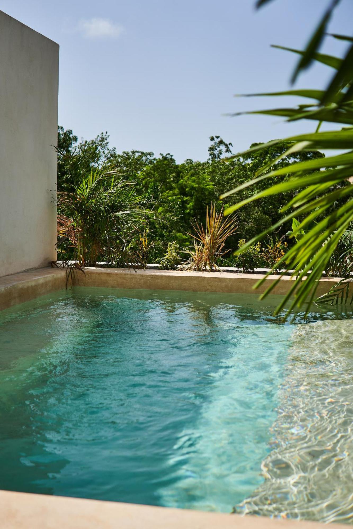 Spacious & Comfy Penthouse Oasis With Plunge Pool Tulum Exteriér fotografie